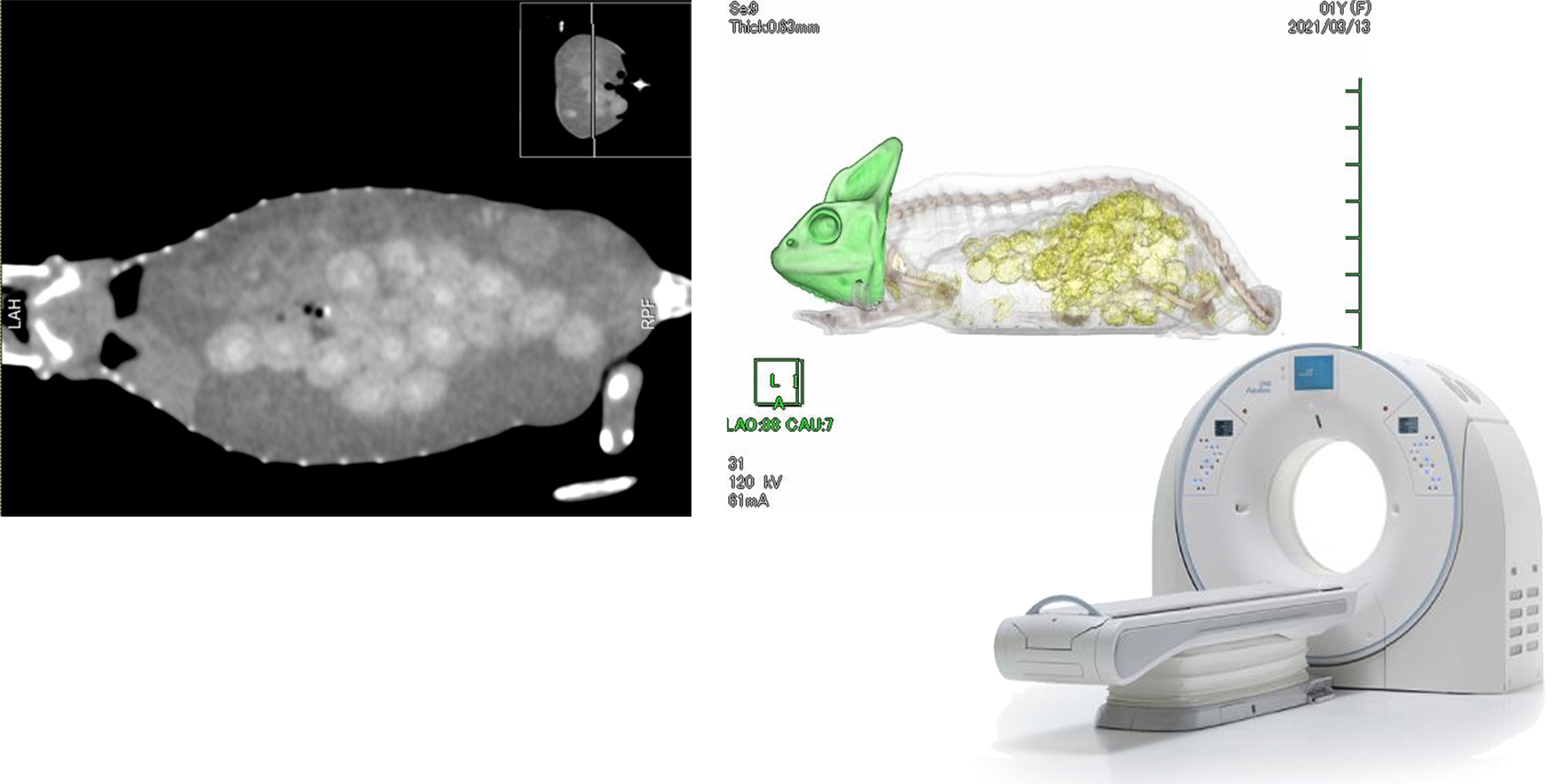 アリサ動物病院64列CT